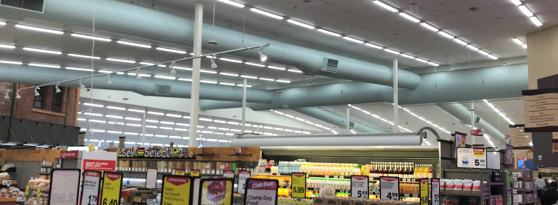 Thorndon New World Header